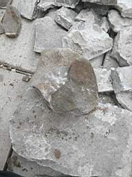 stcronans 2915.jpg